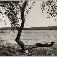 c1900s UDB Big Stone Lake, SD Point Comfort Row Boat Tree Litho Photo PC A188 picture