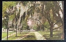 Orange City FL Volusia County Lansdowne Avenue Postcard EX picture