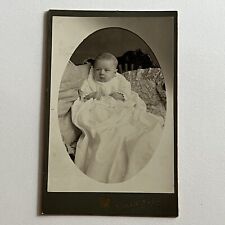 Antique Cabinet Card Photograph Adorable Sweet Baby Brantford Ontario Canada picture