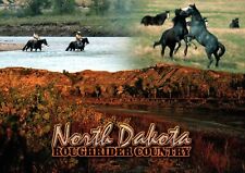 Postcard North Dakota Roughrider Country Horses Horse Riding picture