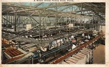 1928 A Modern Orange Packing House Plant Company Florida FL Vintage Postcard picture