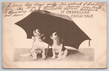 If Umbrellas Could Talk Two Dogs Portland To The Dalles OR 1910 Postcard Posted picture