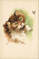 PC CPA CAT, CAT LOOKING AN INSECT, (b25047) picture