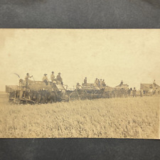 Antique Men Working Farm Scene Harvesting Field Horse Wagon picture