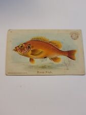 Vintage Antique Arm & Hammer Rose Fish Card #9 1900 Church & Co New York picture