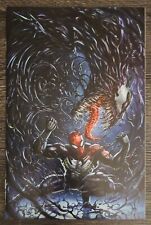 Spider-Man Spider's Shadow #1 - Hive Comics - Alan Quah Virgin Variant  picture