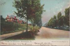 Postcard The Boulevard Williamsport PA 1906 picture