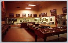 Geology And Fossil Hall Vernal Utah Ut Field House Of Natural History Postcard picture