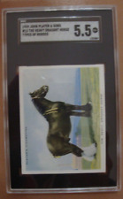1939 JOHN PLAYER & SONS #13 TYPES OF HORSES HEAVY DRAUGHT  HORSE GC GRADED 5.5 picture
