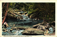 Mountain Stream Which Supplies Lake at Montreat NC White Border Postcard 1920 picture