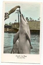 Seaworld San Diego CA Love That Fish Porpoise Postcard California picture