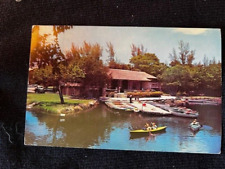 Postcard: Greynolds Park, Dade County, Miami, Florida Photochrome 1950's picture