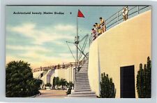 St. Augustine FL, Marineland, Marine Studios Oceanarium VintageFlorida Postcard picture