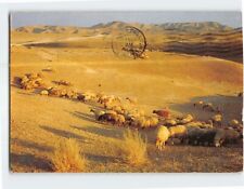 Postcard Judean Desert Landscape picture