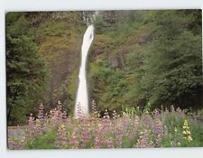Postcard Horsetail Falls, Columbia River Gorge, Oregon picture