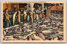 Postcard Interior Salmon Cannery, Columbia River linen B104 picture