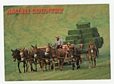 Vintage Postcard  PA CHROME AMISH COUNTRY HAY WAGON UNPOSTED 1997  6X4 picture
