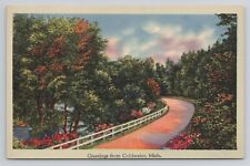 Greetings from Coldwater  Michigan Linen Postcard No 4116 picture