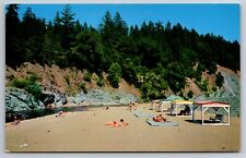 Hartsook Beach Eel River Redwoods Garberville California Chrome c1950s Postcard picture