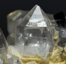 169 GM Full Terminated Natural TOURMALINE Crystals In QUARTZ Specimen Pakistan picture
