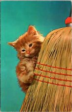 Postcard Kitty Cat Broom Hammonton Jersey B72 picture
