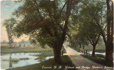 Willows and Bridge, Walker's Island-Concord, NH-posted antique postcard picture