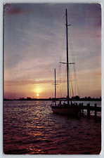 Vintage Postcard FL Sailboat at Sunset Gulf of Mexico c1953 -1919 picture