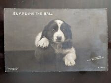 RPPC - Guarding the Ball (Puppy) - 1907, Rough Edges picture