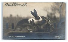 Postcard A Close Conference - Bunnies 1908 RPPC MA20 picture