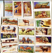 1937 OGDEN'S CIGARETTES ZOO STUDIES 50 TOBACCO CARD SET picture
