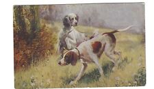 1907 Hunting Dogs in Field Postcard Artist Drawn Pointer picture