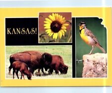 Postcard - Kansas - Kansas picture