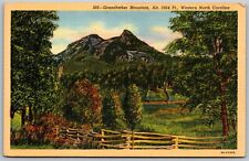 Vtg Linville North Carolina NC Grandfather Mountain 1930s View Old Card Postcard picture