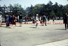 1963 JAPAN Tokyo  Yoyogi Park scene 35mm Slide lz4 picture