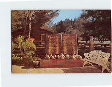 Postcard Entrance Petrified Forest California USA picture