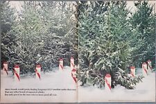 1967 Seagram's VO Canadian Whiskey Snow Covered Evergreen Trees  2 Page Print Ad picture