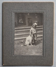 Vintage Early 1900's Cabinet Card PHOTO Cute Little Girl in Dress w/ Her DOG ~ picture
