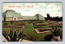 Chicago IL-Illinois, Conservatory, Washington Park, Antique, Vintage Postcard picture