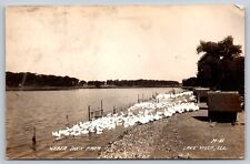 Weber Duck Farm Lake Villa Illinois RPPC Real Photo Postcard 1950 Ducks On Lake picture