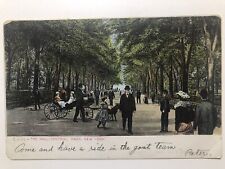 1906 The Mall Central Park New York Undivided Back Postcard picture