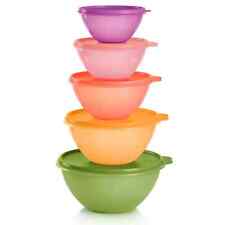 Tupperware Classic Wonderlier Bowl 10-Pc. Set New Colors SPRING Purple Green picture