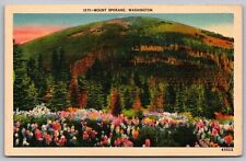 Mount Spokane Washington Wa John W Graham Co Spokane Wash Linen Unp Postcard picture