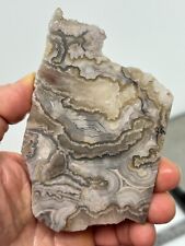 Mexican Laguna Crazy Lace Agate end cut Slab Cabbing Collecting Combo Ship Avail picture