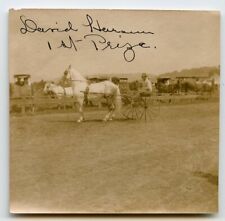 G658 Original Vintage HORSE HARNESS RACE FIRST PRIZE, JOCKEY c Early 1900's picture