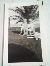 Vintage PhotoGraph Brother Sister Dog Tropical Girl Boy Yard picture