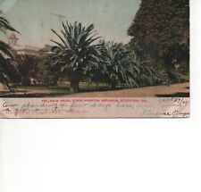 Postcard CA Stockton California State Hospital Grounds Palm Drive c.1906 F22 picture