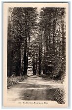 c1910's The Hawthorn Pines Dirt Road Lenox Massachusetts MA RPPC Photo Postcard picture