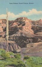 Tonto Plateau Grand Canyon Arizona Postcard picture