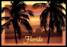 Greeting From Florida Palm Trees Sunset Postcard Unp picture