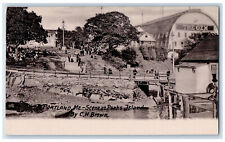 c1940's Scene at Peaks Island Portland ME By C.H. Brown Unposted Postcard picture